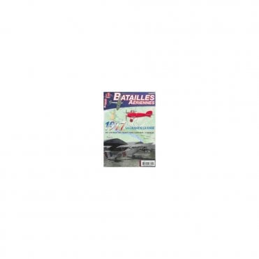 Batailles Aeriennes 81 1917 La Grande Guerre