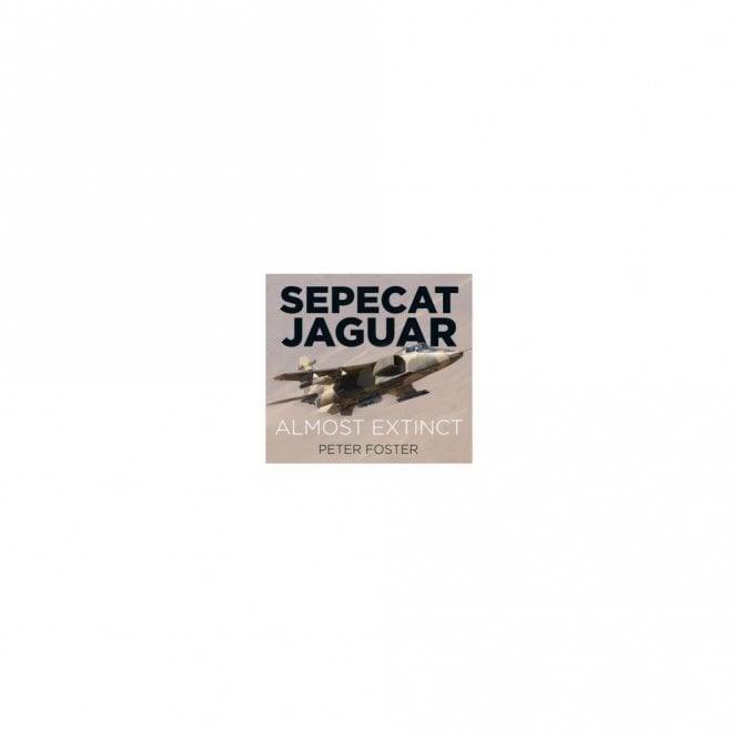 Sepecat Jaguar Almost Extinct