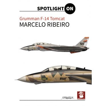 Spotlight On Grumman F-14 Tomcat