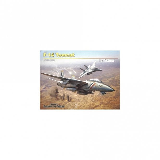 SS10267 F-14 Tomcat