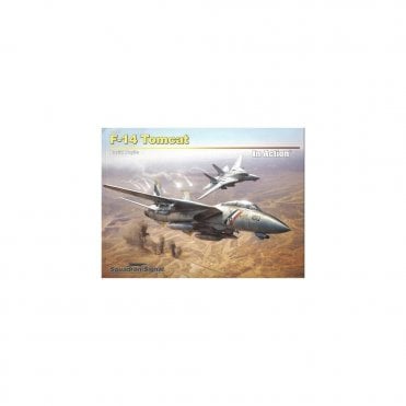 SS10267 F-14 Tomcat