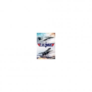 The F-14 Tomcat